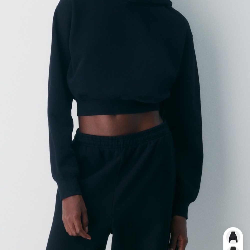 Aritzia perfect crop hoodie